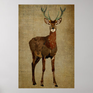 Poster d'art Woodsy Elk