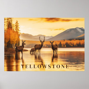 Poster d'art Yellowstone