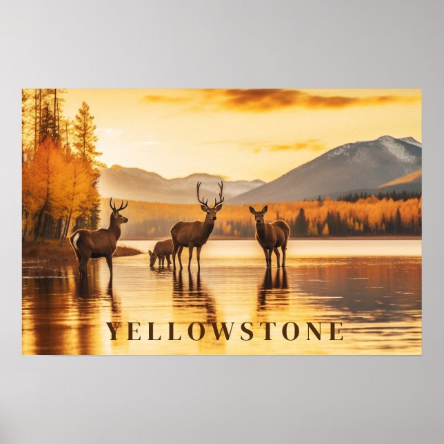 Poster d'art Yellowstone (Devant)