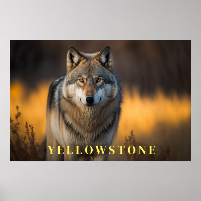 Poster d'art Yellowstone (Devant)