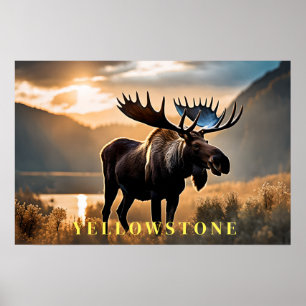 Poster d'art Yellowstone