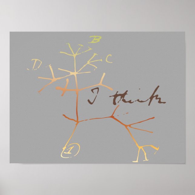 Poster Darwin, je pense à l'arbre de vie (Devant)