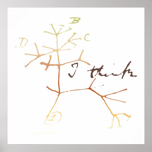 Poster Darwin, je pense à l'arbre de vie (Devant)