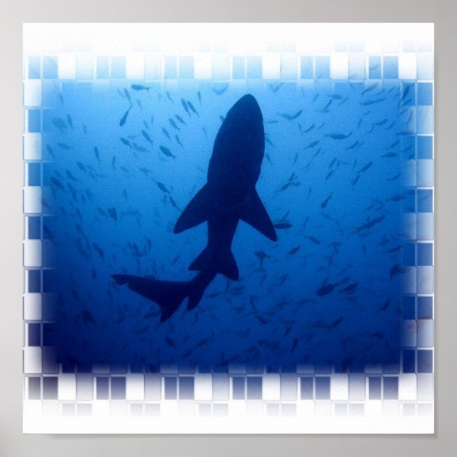 Poster d'attaque de requins (Devant)