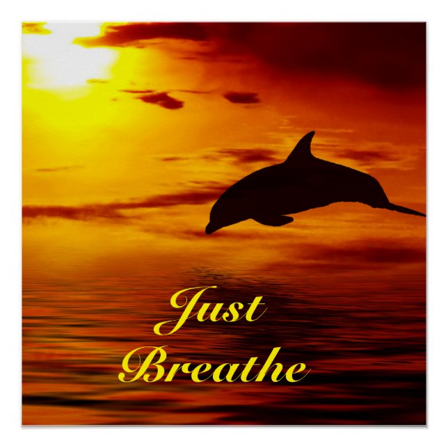 Poster dauphin (Devant)