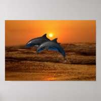 Dauphin de verdure au coucher du soleil