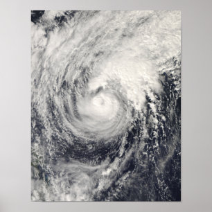 Poster Dauphin d'ouragan en mer philippine