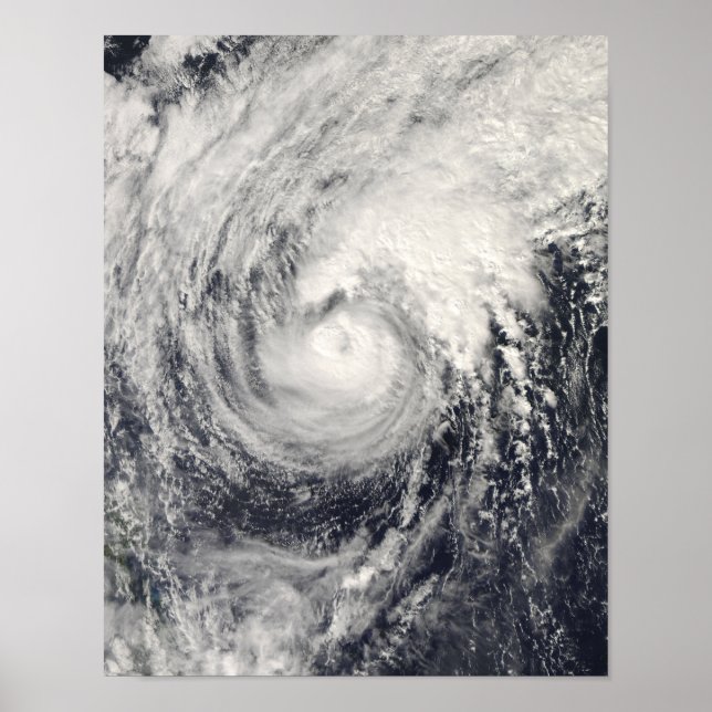 Poster Dauphin du typhon dans la mer des Philippines (Devant)