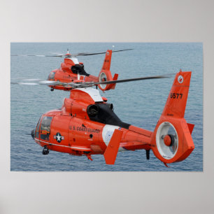 Poster Dauphin HH-65
