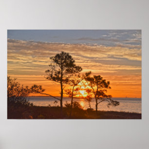 Poster Dauphin Island Refuge Sunrise, Alabama