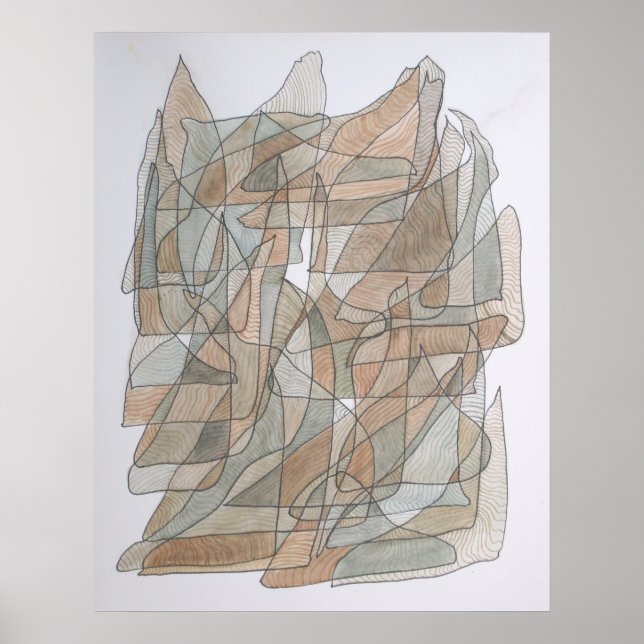 Poster Dauphin volant (Devant)