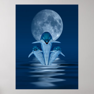Poster Dauphins