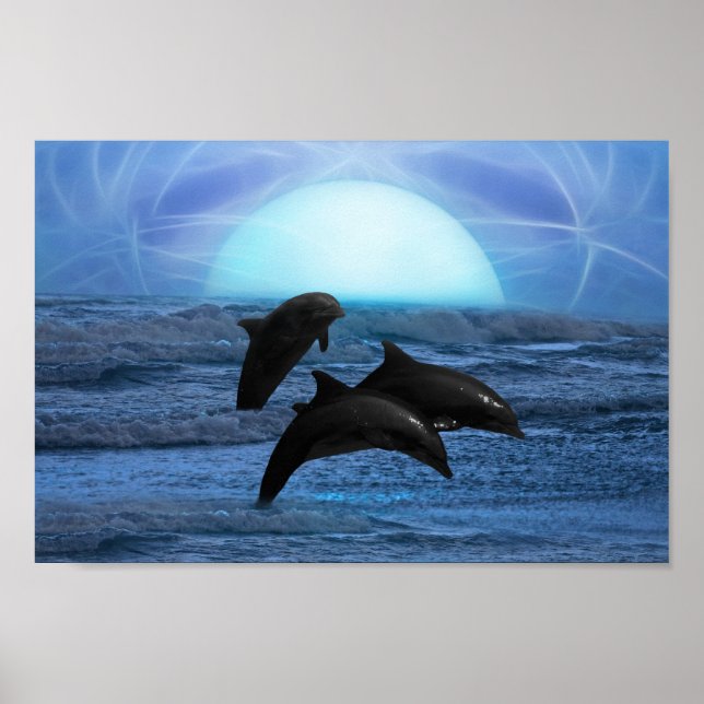 Poster Dauphins au clair de lune (Devant)