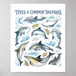 Poster Dauphins communs aquarelle océan faune art