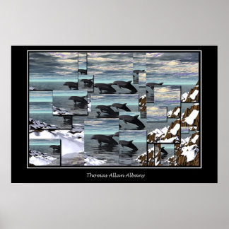 Poster Dauphins de glace