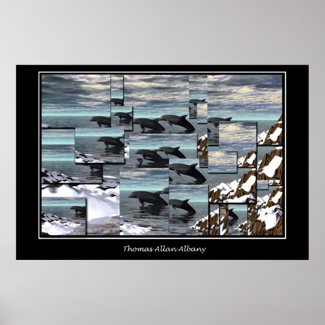 Poster Dauphins de glace (Devant)