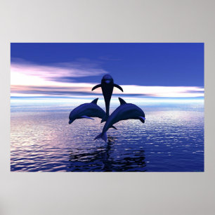 Poster Dauphins du début du matin
