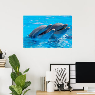 Poster Dauphins souriants
