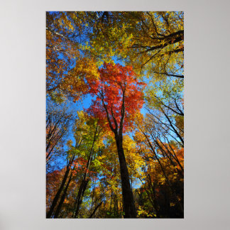 Poster d'automne
