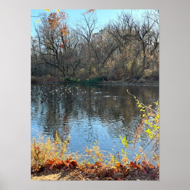Poster d'automne Waterscape (Devant)