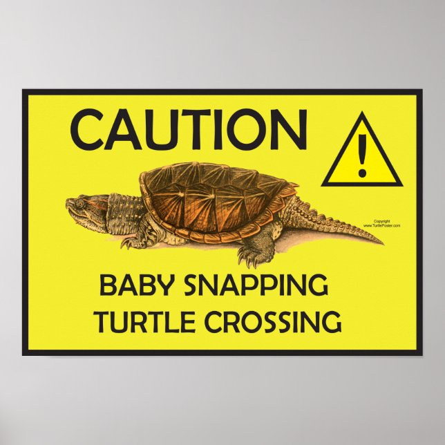 Poster d'avertissement croiser tortue (Devant)