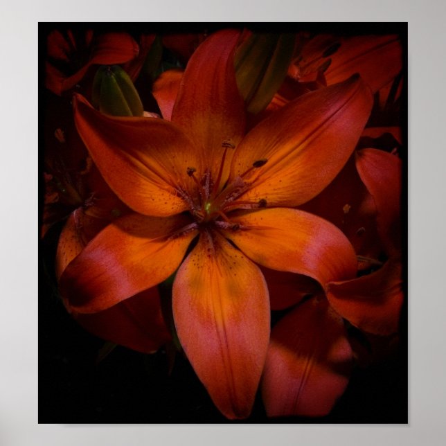 Poster Day Lilly (Devant)