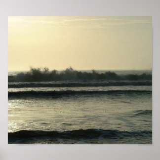 Poster Daytona Waves