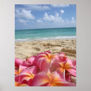 Poster Dayz hawaïen