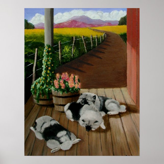 Poster Daze été (Devant)