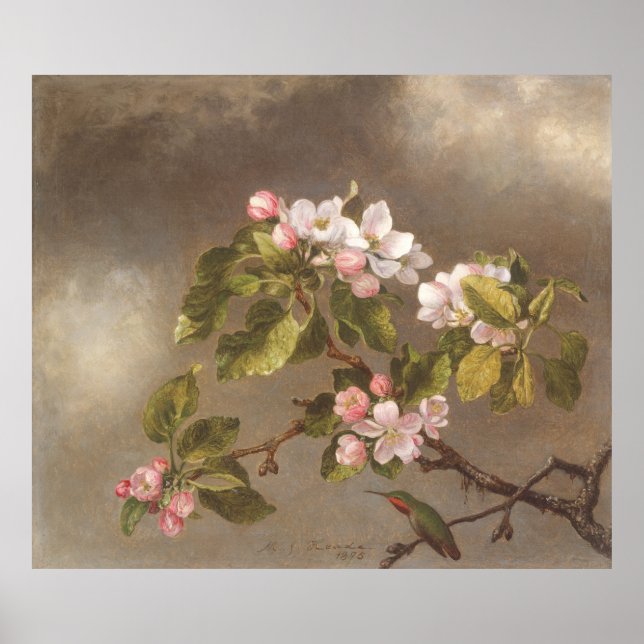 Poster de 1875 Hummingbird and Apple Blossoms (Devant)
