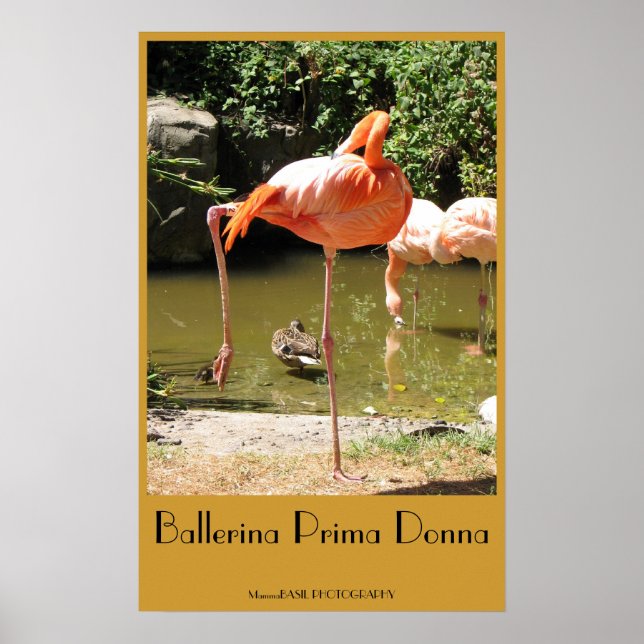 Poster de Ballerina Prima Donna ! (Devant)