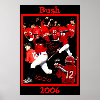 Poster de baseball Bush Freshman