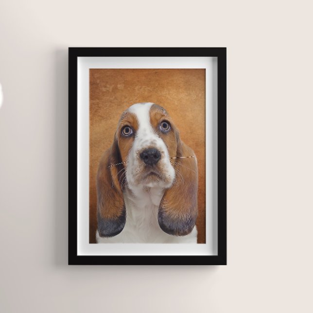 Poster de Basset Hound (Créateur téléchargé)
