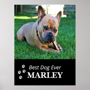 Poster de Best Dog Ever