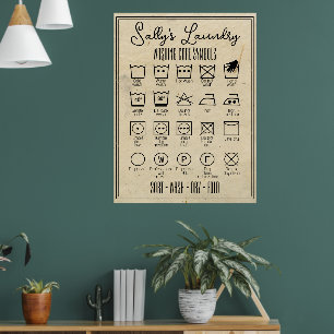Poster de blanchisserie infographie lave symboles 