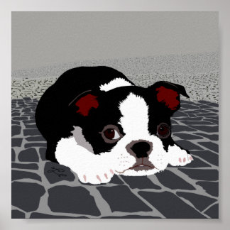 Poster de Boston Terrier Stone Paving Wall Art