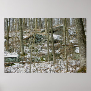 Poster de Boulders in Winter Woods