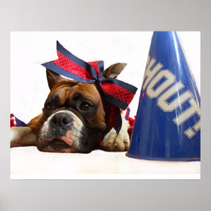 poster de boxer pom-pom girl