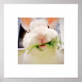 Poster de Bunny Munching