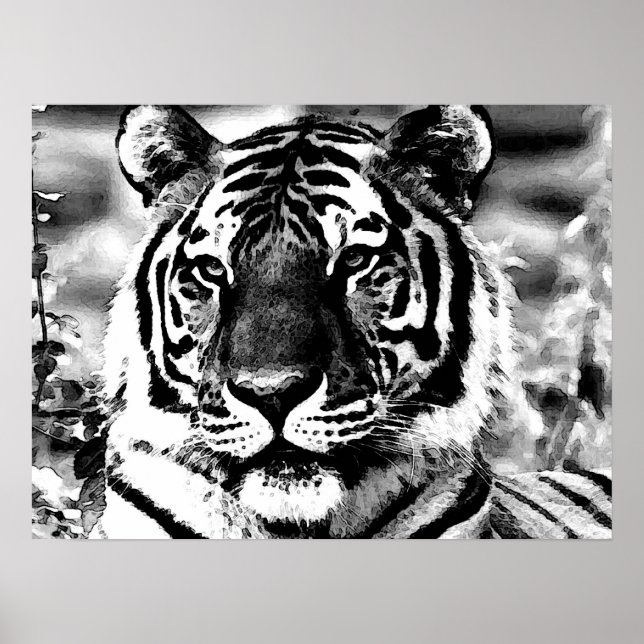 Poster de BW Tiger Imprimer Pop Art Style Tigers P (Devant)