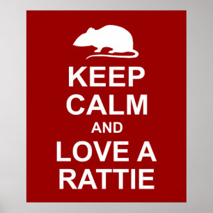Poster de Calm Rat Lover