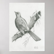 Poster de Cambodian Bird 1 par Vannak Anan Prum