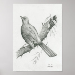 Poster de Cambodian Bird 1 par Vannak Anan Prum