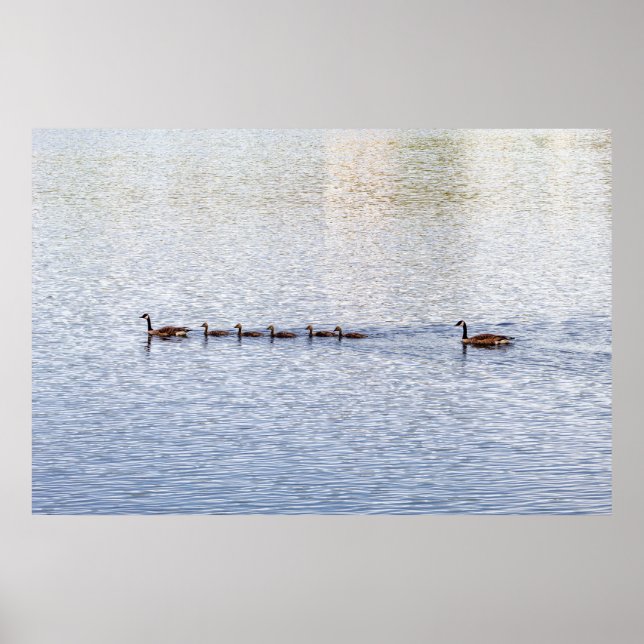 Poster de Canards sur Glen Lake (Devant)