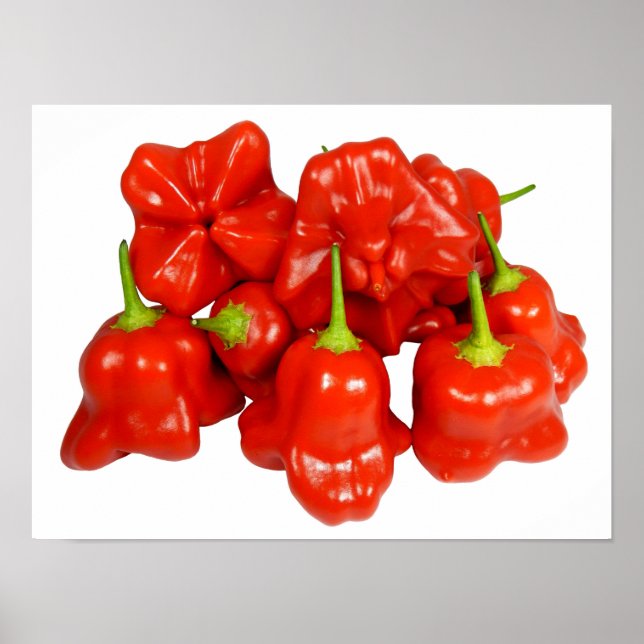 Poster de Capsicum Chinense Chili (Devant)