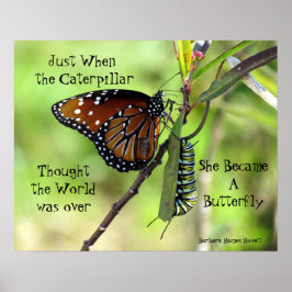 Poster de caterpillar / Caterpillar
