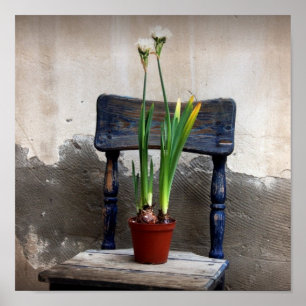 Poster de chaise et de fleurs