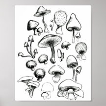 Poster de champignons
