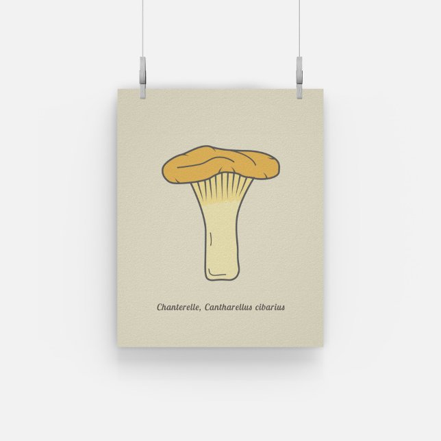 Poster de champignons de la Chanterelle botanique (Botanical Chanterelle Mushroom Poster)