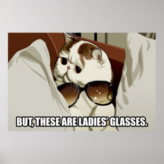 Poster de chat de lunettes fabuleuses (pt. 1)